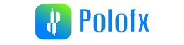 Polo FX