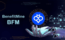 قیمت BFM در صرافی توبیت و راهنمای خرید