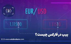 پیپ در فارکس چیست؟ 
